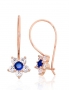 Gold hook earrings. Photo Nr. 1