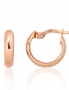 Gold Earrings. Photo Nr. 1