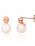 Gold classic studs earrings. Photo Nr. 1