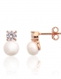 Silver stud earrings. Photo Nr. 1