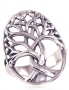 Silver ring. Photo Nr. 1