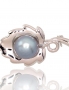 Silver brooch. Photo Nr. 1