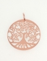 Silver pendant. Photo Nr. 1