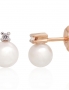 Gold classic studs earrings. Photo Nr. 1