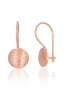 Gold hook earrings. Photo Nr. 1