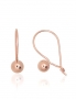 Gold hook earrings. Photo Nr. 1
