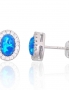 Silver stud earrings. Photo Nr. 1