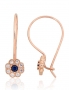 Gold hook earrings. Photo Nr. 1