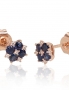 Zelta auskari-puseti. Attēls Nr. 2