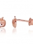 Gold screw studs earrings. Photo Nr. 1
