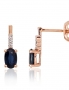 Gold Earrings. Photo Nr. 1