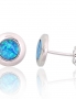 Silver stud earrings. Photo Nr. 1