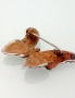 Silver brooch. Photo Nr. 2