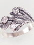 Silver ring. Photo Nr. 1