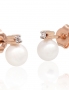 Gold classic studs earrings. Photo Nr. 2