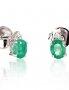 Gold classic studs earrings. Photo Nr. 1