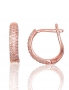 Silver earrings with english lock. Photo Nr. 1