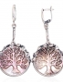 Silver earrings. Photo Nr. 1