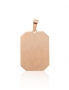Gold pendant. Photo Nr. 1