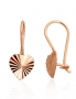 Gold hook earrings. Photo Nr. 1