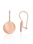 Gold hook earrings. Photo Nr. 1