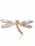 Silver brooch. Photo Nr. 1