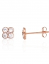 Gold classic studs earrings. Photo Nr. 1