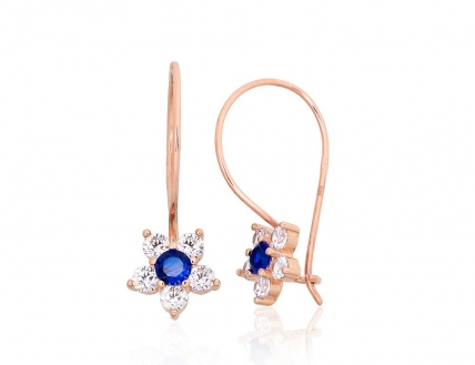 Gold hook earrings. Photo Nr. 1