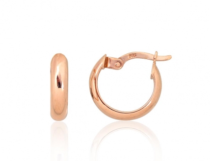 Gold Earrings. Photo Nr. 1