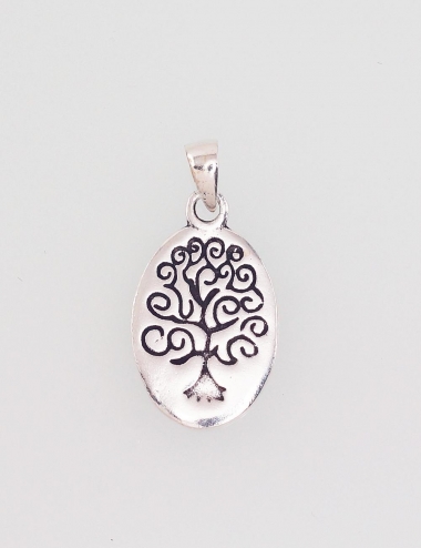 Silver pendant. Photo Nr. 1