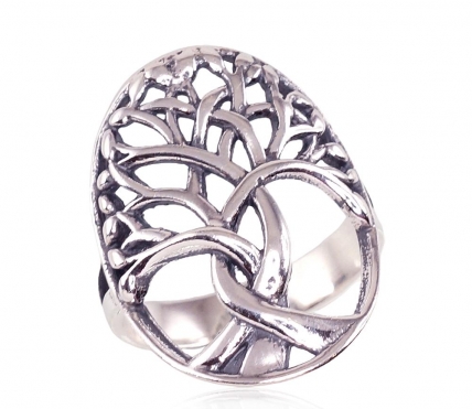 Silver ring. Photo Nr. 1