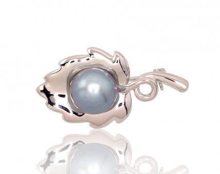Silver brooch. Photo Nr. 1