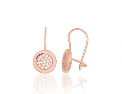 Silver hook earrings. Photo Nr. 1