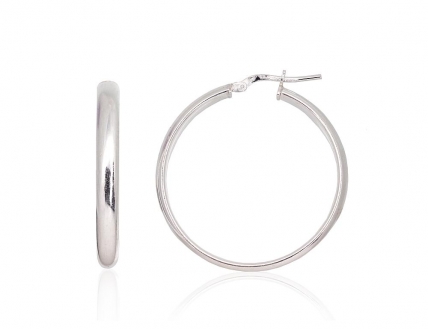 Silver earrings-rings. Photo Nr. 1