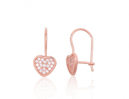 Silver hook earrings. Photo Nr. 1