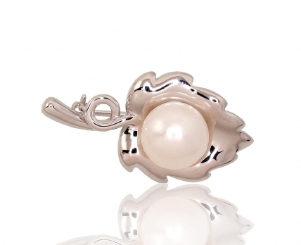 Silver brooch. Photo Nr. 1