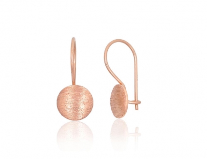 Gold hook earrings. Photo Nr. 1