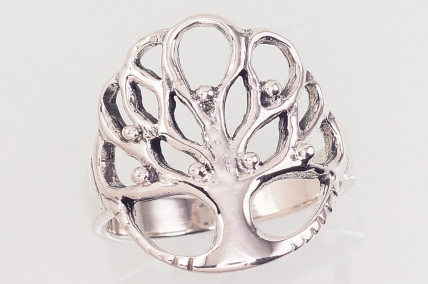 Silver ring. Photo Nr. 1