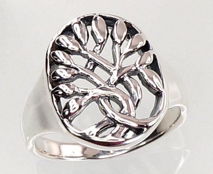 Silver ring. Photo Nr. 1