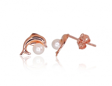 Gold classic studs earrings. Photo Nr. 1