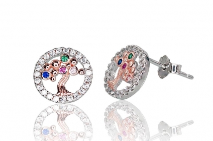 Silver stud earrings. Photo Nr. 1