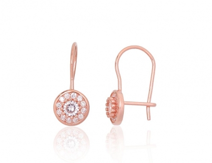 Silver hook earrings. Photo Nr. 1