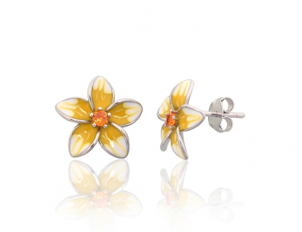 Silver stud earrings. Photo Nr. 1