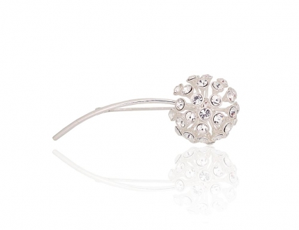 Silver brooch. Photo Nr. 1