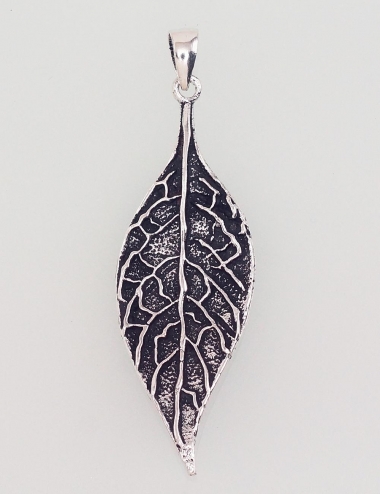 Sudraba kulons. Attēls Nr. 1