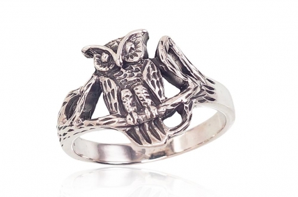 Silver ring. Photo Nr. 1