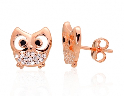 Silver stud earrings. Photo Nr. 1