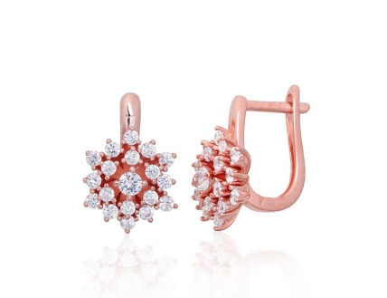 Sudraba auskari ar angļu slēdzēju. Attēls Nr. 1