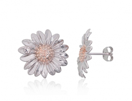 Silver stud earrings. Photo Nr. 1