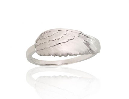 Silver ring. Photo Nr. 1
